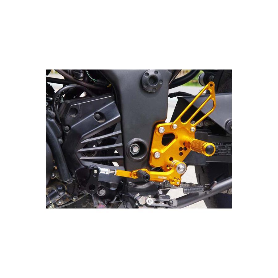 ベビーフェイス リバース Ninja250R 08-12/Ninja250 08-16の画像