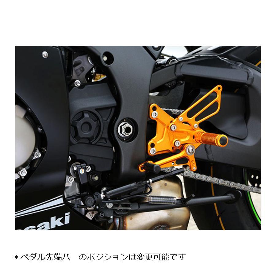 babyface（ベビーフェイス） バックステップ ゴールド ZX10R 002