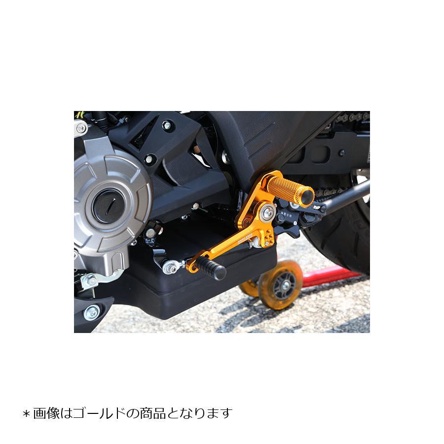 babyface ベビーフェイス バックステップキット シルバー Z125 Pro 16 