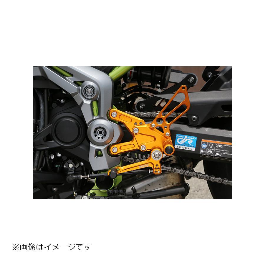 babyface ベビーフェイス バックステップキット ゴールド Z900(ZR900B 