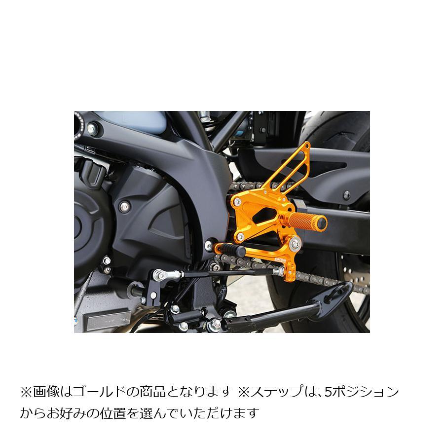 SV650 バックステップ baby Face ベビーフェイス babyface（ベビーフェイス） バックステップキット シルバー SV650 ABS