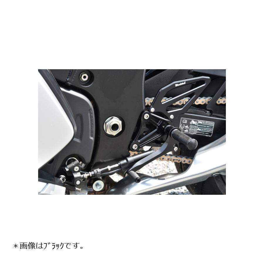 隼 Hayabusa WR