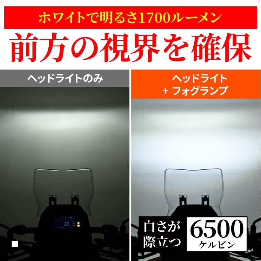 DAYTONA（デイトナ） プレシャスレイ-LED FOGランプ スモール 48495