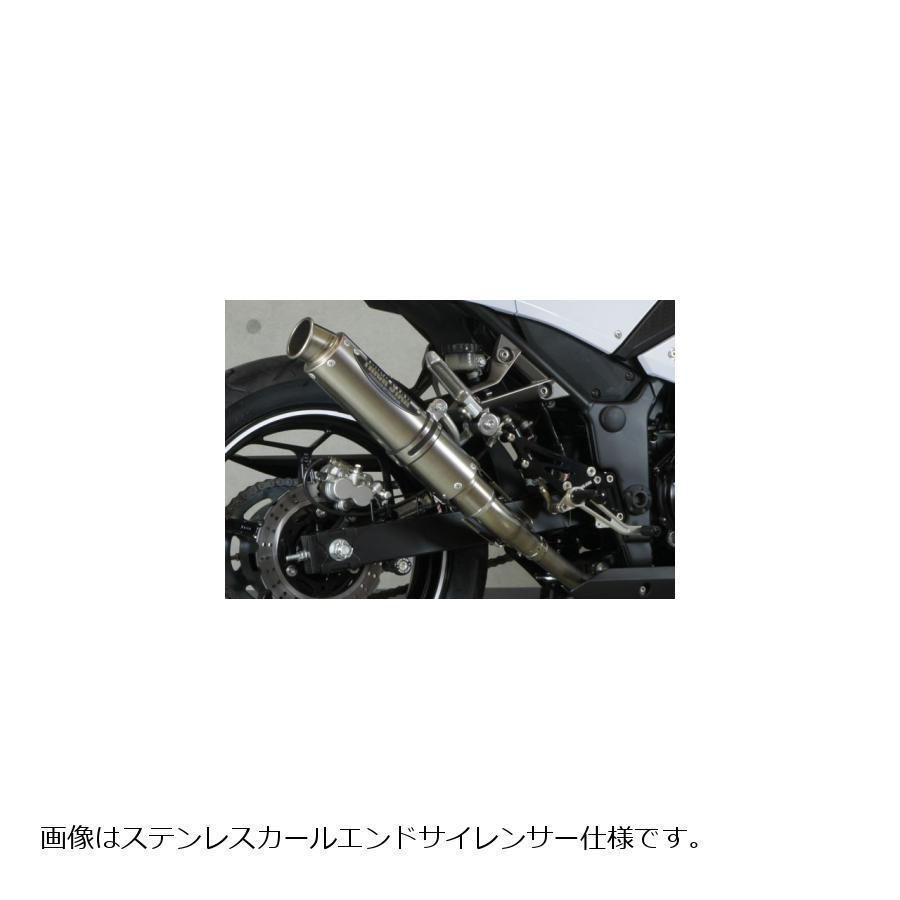 TRICKSTER（トリックスター） レーシングスリップオンマフラー