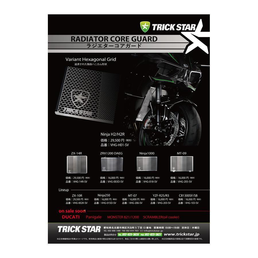 カワサキ　ZX-14R トリックスター　ラジエーターコアガード BKメッキ トリックスター / Kawasaki Ninja ZX-14R/1400GTR ラジエター