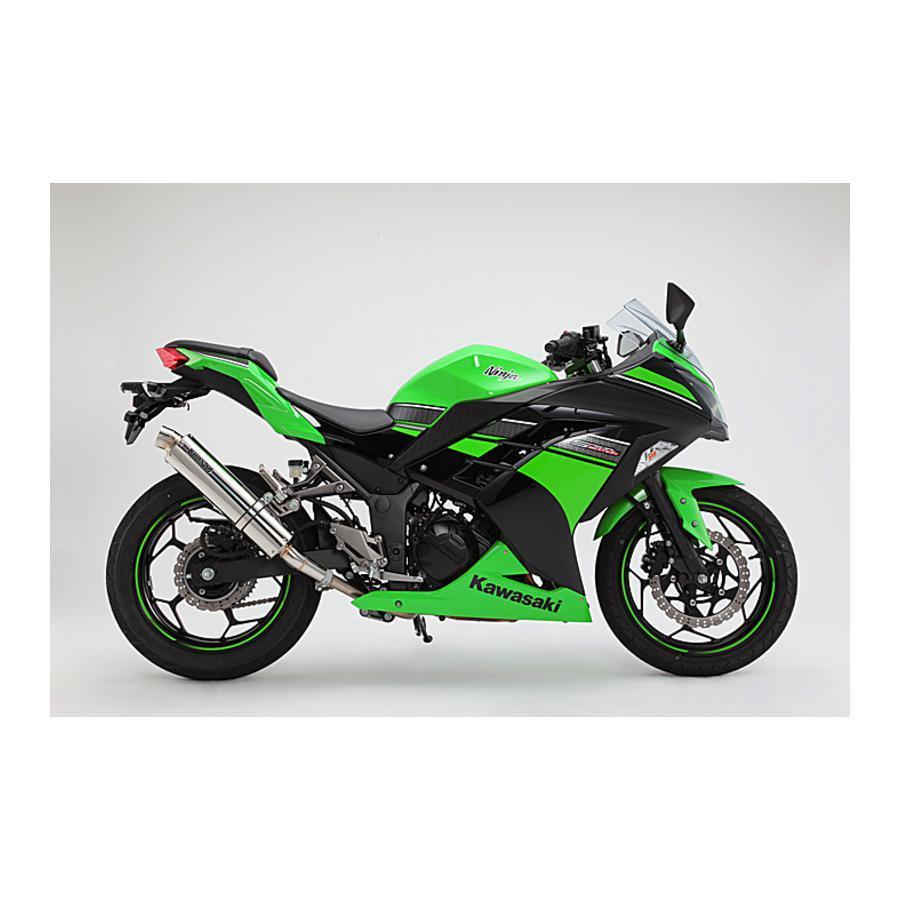 ビームス BEAMS R-EVO スリップオンマフラー ステンレス Ninja250 ニンジャ250 JBK-EX250L D415-53-P6S｜rubbermark｜02