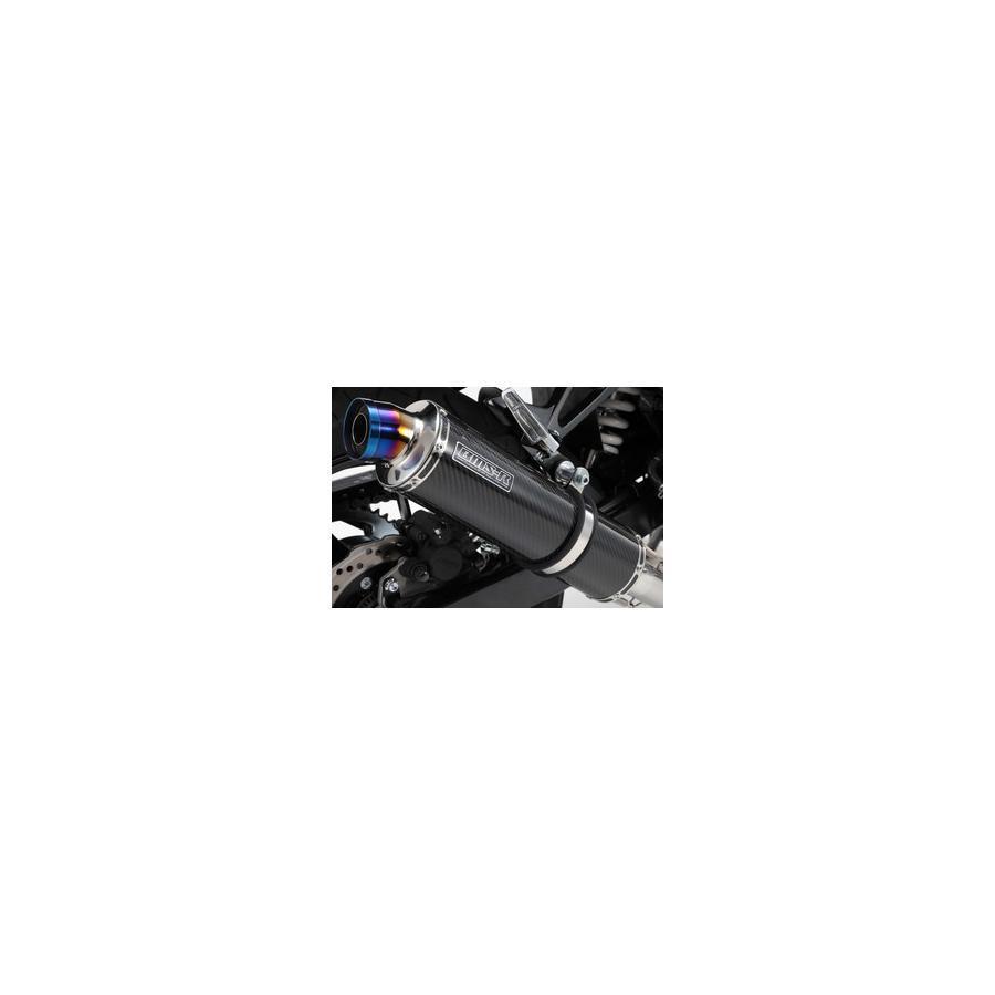 BEAMS R-EVO カーボン スリップオンマフラー GSX250R BEAMS（ビームス） BEAMS R-EVOカーボン スリップオン マフラー