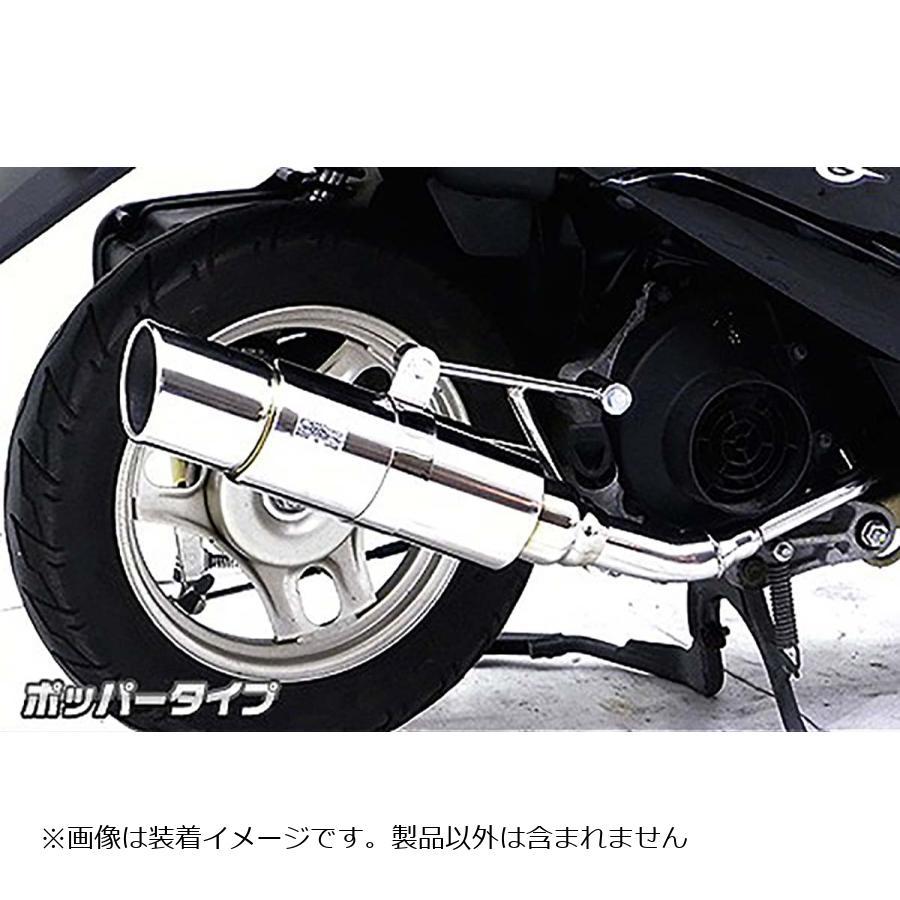 WirusWin（ウイルズウィン） ロイヤルマフラー ポッパータイプ Dio