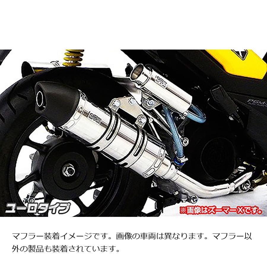 ウイルズウィン ロイヤルマフラーユーロタイプ リード125
