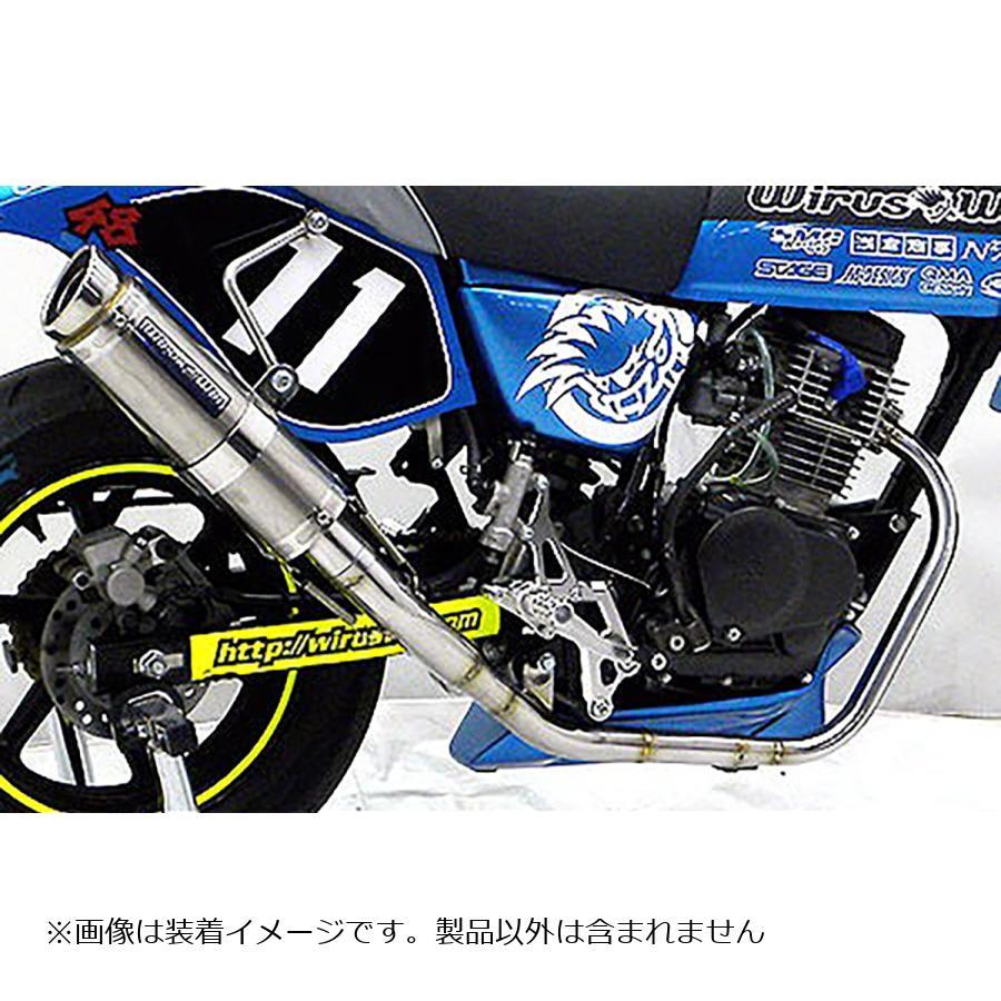 WirusWin（ウイルズウィン） レーシングマフラー APE100タイプD