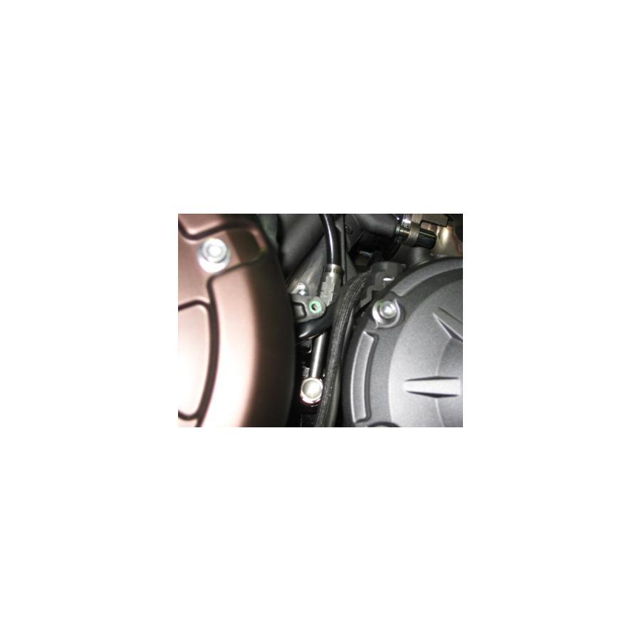 スウェッジラインプロ Cホース R＆B クリアコート V-MAX 09-17 ABS