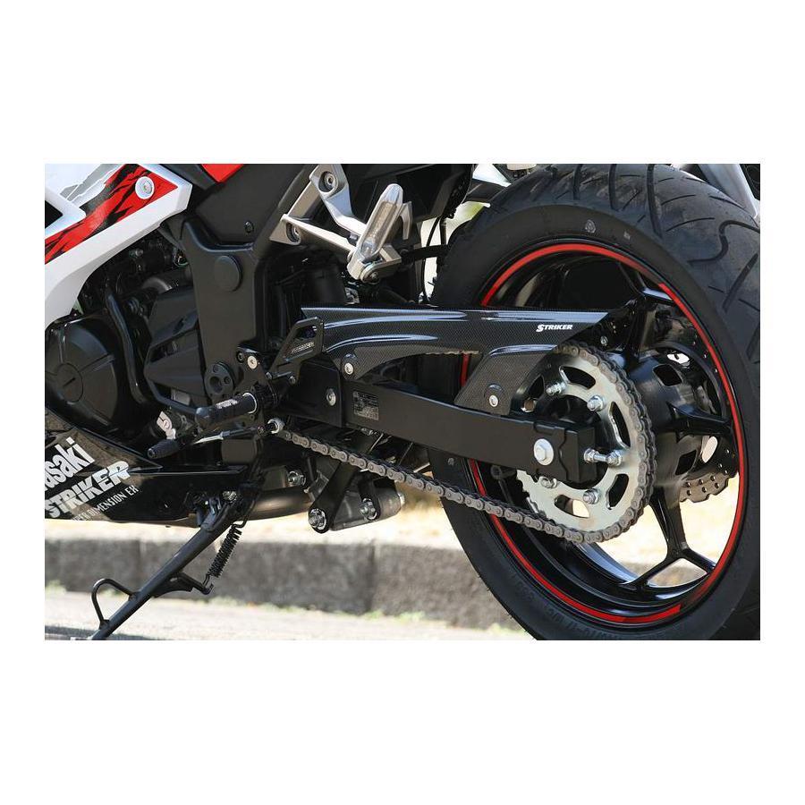STRIKER ストライカー エアロデザイン チェーンカバー カーボン STRIKER ストライカー エアロデザイン チェーンカバー カーボン