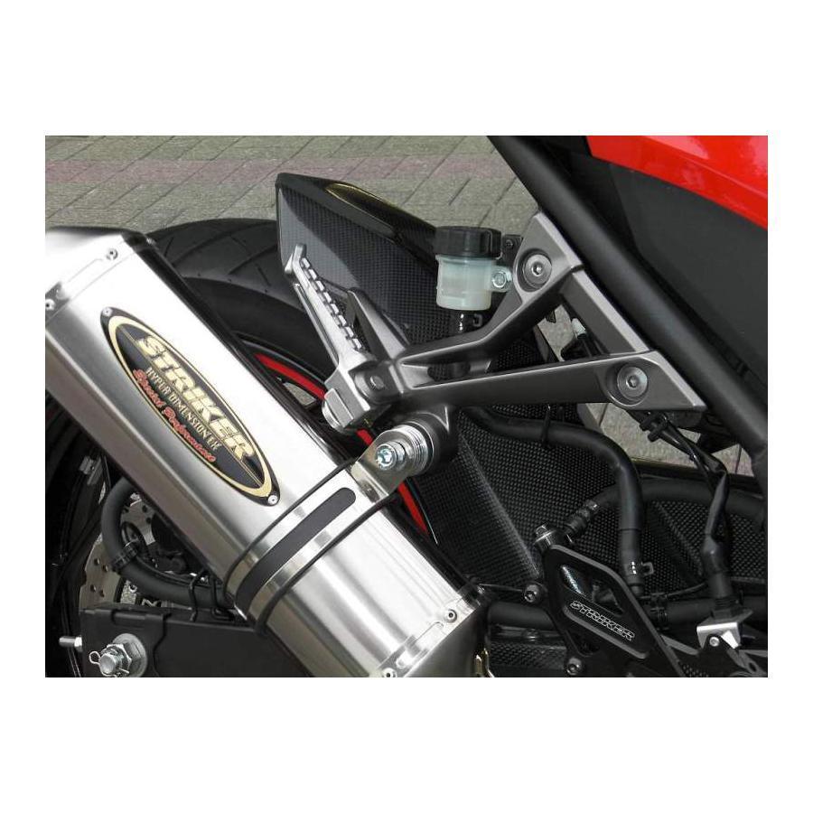 ストライカー エアロデザイン リアフェンダー ノーマルスイングアーム用 カーボン Ninja250R[ニンジャ](ABS) SAD-RF117C-Aの画像