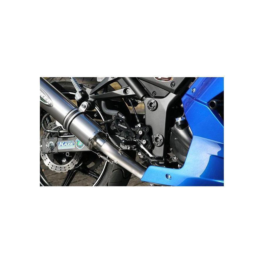 STRIKER (ストライカー) スペシャルステップキット ブラック Ninja250R[ニンジャ] SS-AA294Bの画像
