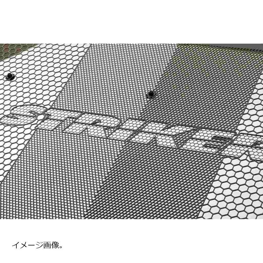 STRIKER（ストライカー） ラジエターコアガード Z900RS NINJA1000SX