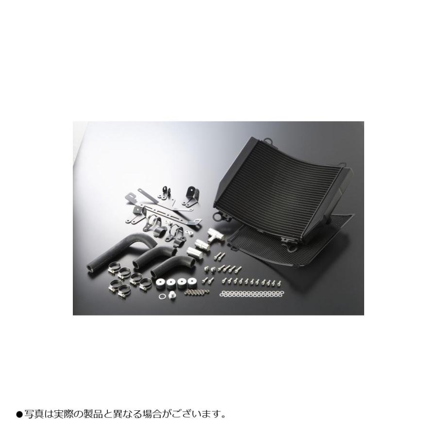 ACTIVE（アクティブ） ビッグラジエーターキット ブラック仕様 V-MAX