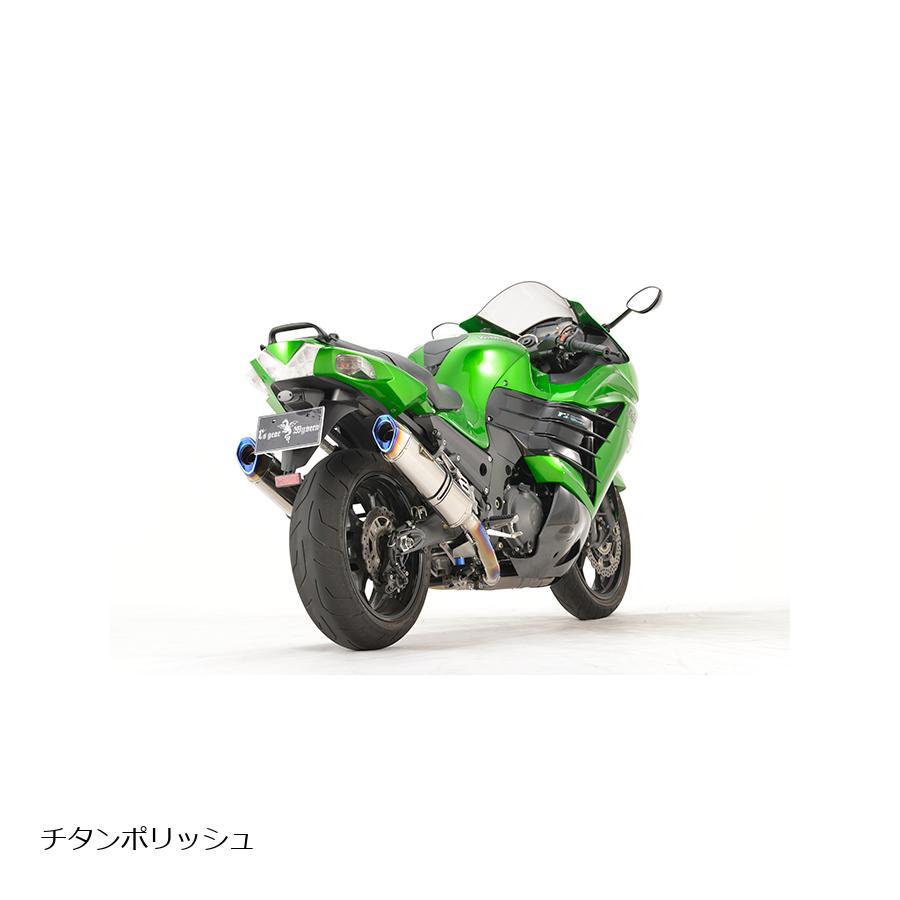 アールズギア リアルスペック スリップオンマフラー ツイン TI Ninja