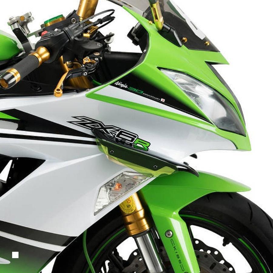 プーチ Puig サイドダウンフォーススポイラー グリーン ZX-6R 636