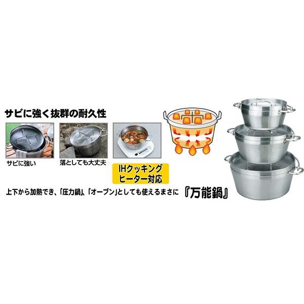 SOTO ステンレス ダッチオーブン 12インチ IH調理機対応 ソト ST-912