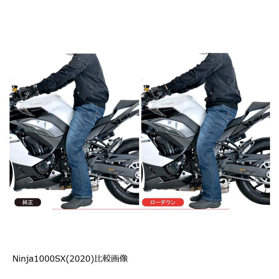 EFFEX (エフェックス) ローダウンキット Ninja1000 ニンジャ