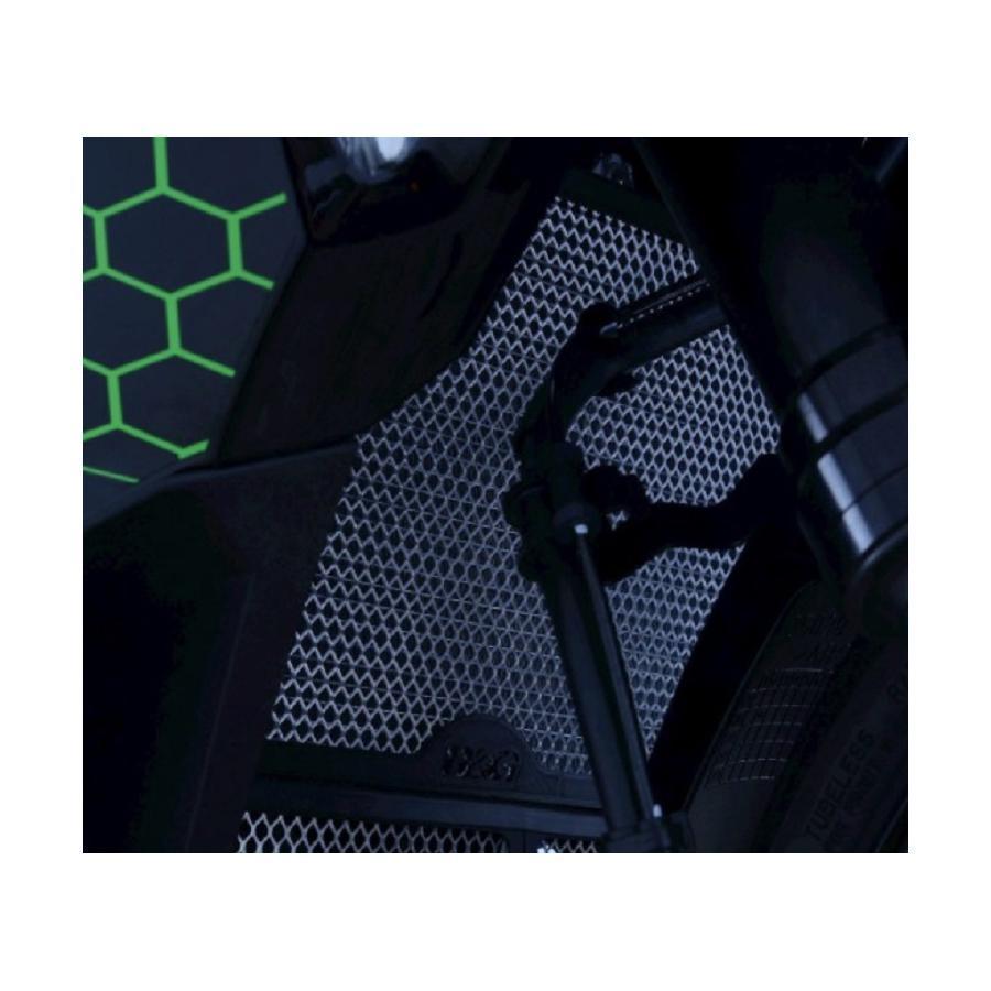 アールアンドジー ZX-10R ZX-10RR ラジエターガード チタン
