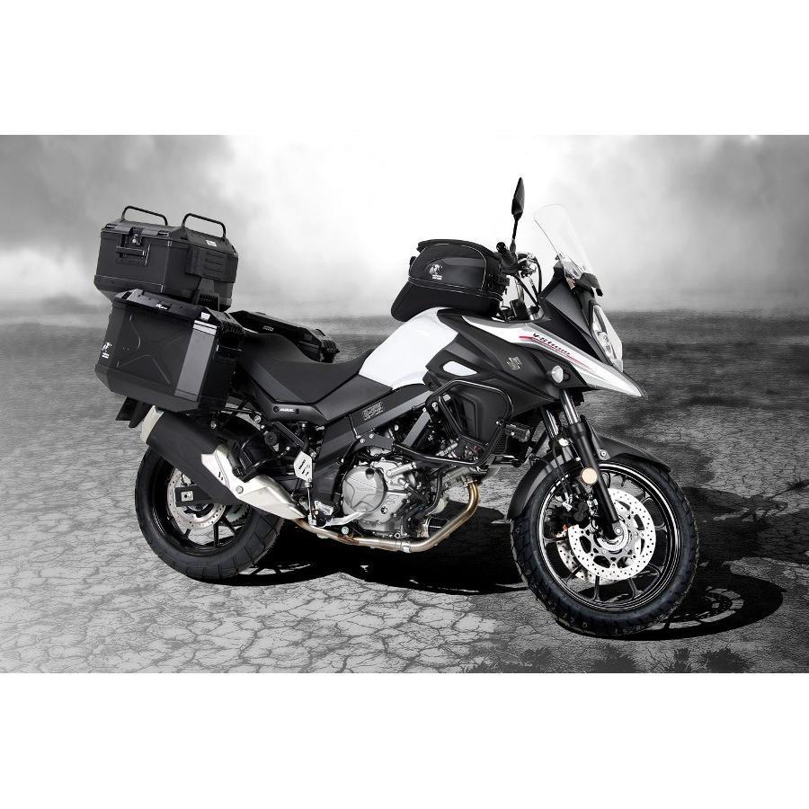 クラシカルレインボーハッピーバード ヘプコ＆ベッカー v-strom650