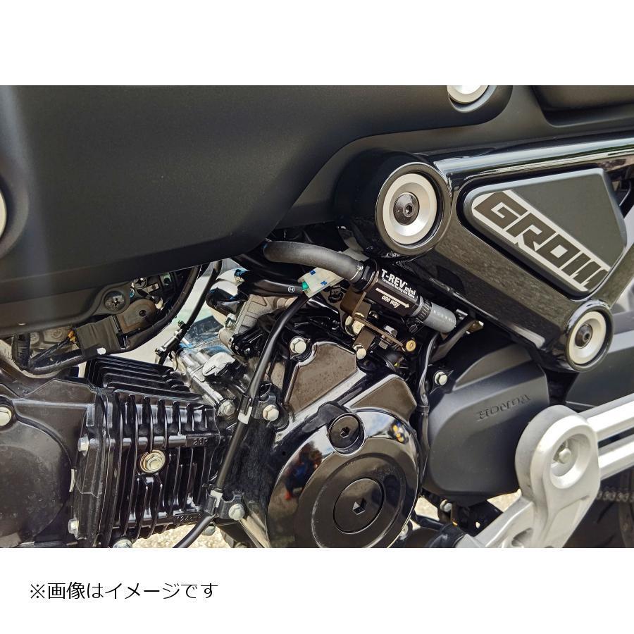 TERAMOTO T-REVmini SPキット ゴールド グロム 4245-mini : バイク・車