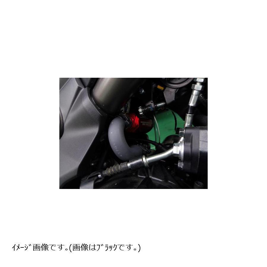TERAMOTO T-REV グリーン ER-6n 4630_1