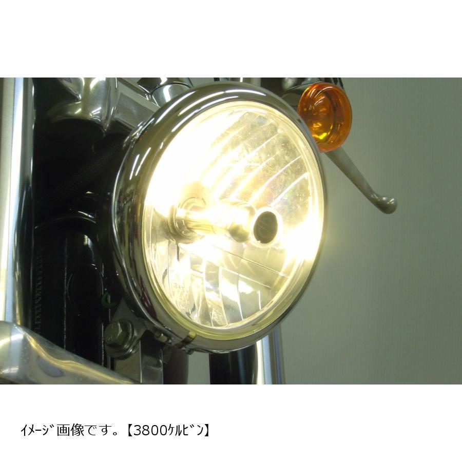 プロテック BOMBER HID 3800K スポーツスター XL XR 用の画像