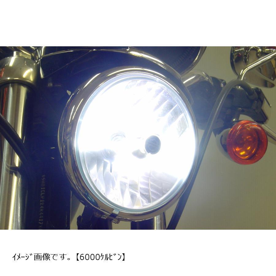 プロテック BOMBER HID 6000K スポーツスター XL XR 用の画像