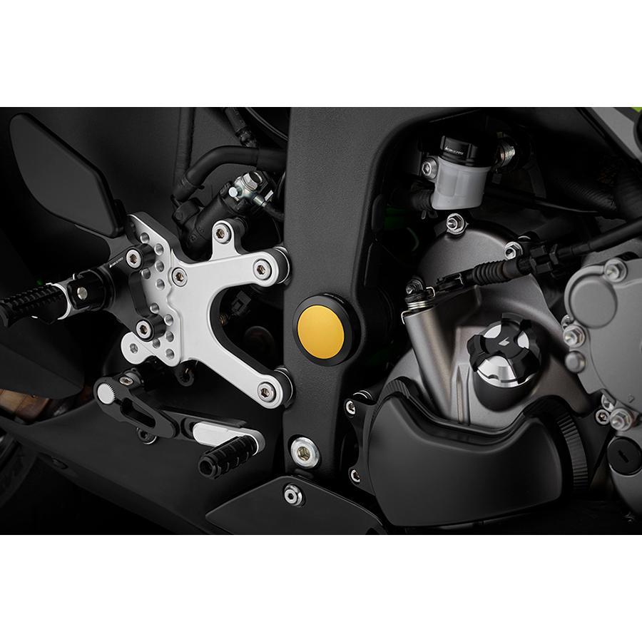 バイカーズ ピボットキャップ ZX-6R ライトゴールドの画像