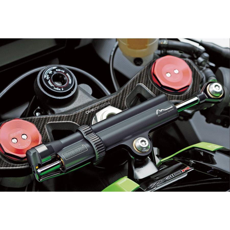 トップブリッジ ステッカー ワンデザイン PPSK19P KAWASAKI ZX-10R