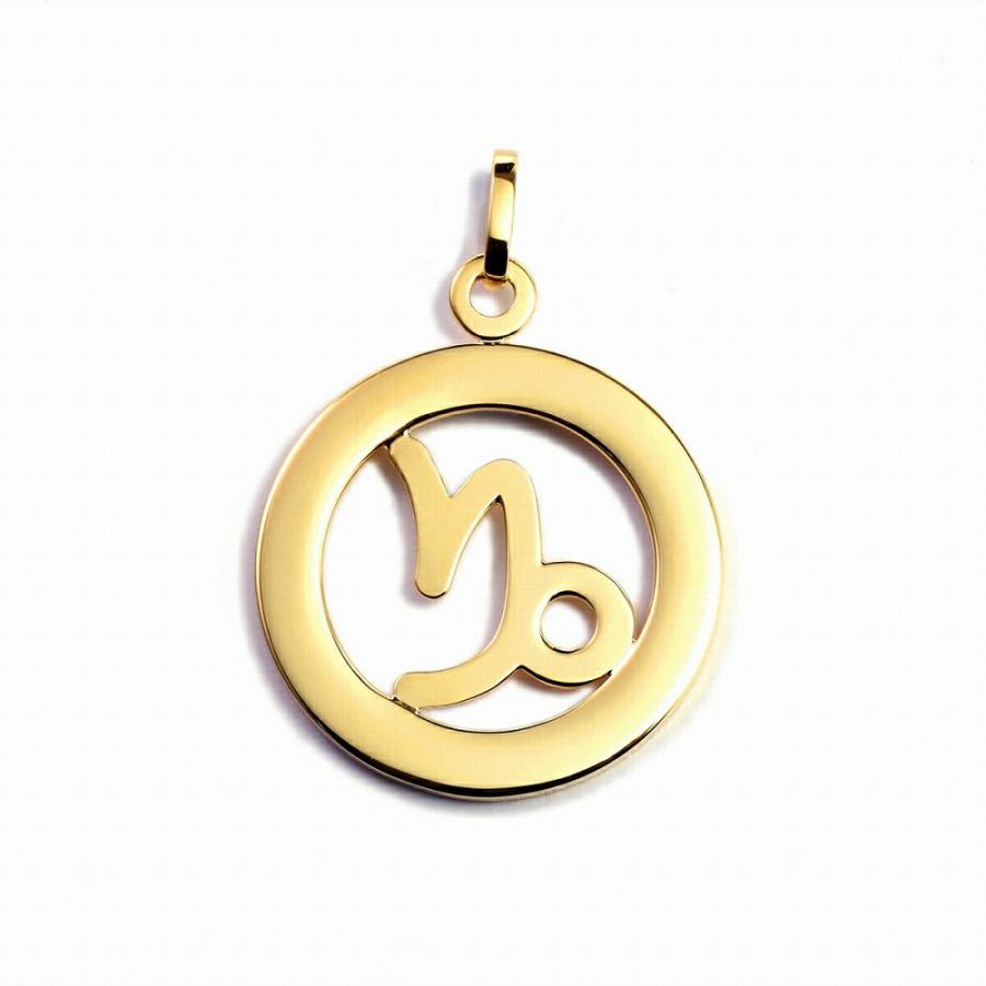 ペンダントトップ 18金 イエローゴールド 山羊座 やぎ座 透かし
