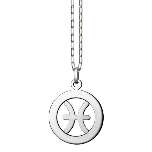 プラチナ プレート（魚座）ネックレス