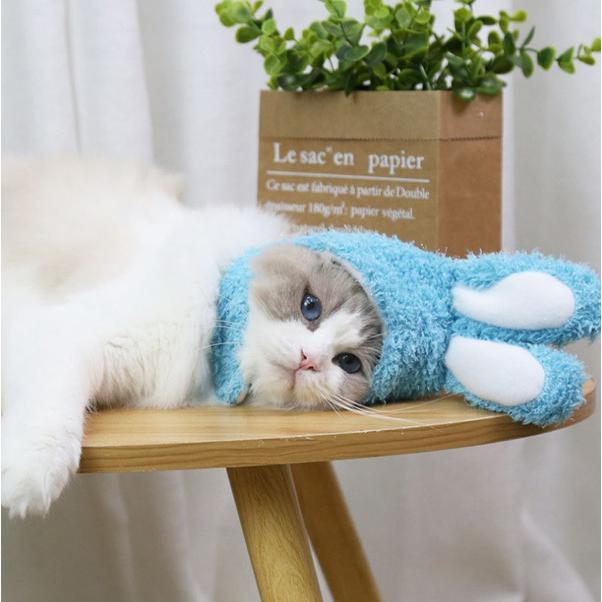 ゆ送料無料】猫ちゃん☆うさ耳コスプレ帽子 犬用 猫用 猫服 猫用品 ペットウェア ネコ 超小型犬 愛猫 愛犬 ペット 衣装 ハロウィン もこもこ ウサギ rsca-f1 :rsca-f1:RuBeeSapphire 通販 うさ耳 帽子 ペット 犬 猫 うさぎ コスプレ かぶりもの 服 もこもこ 衣装