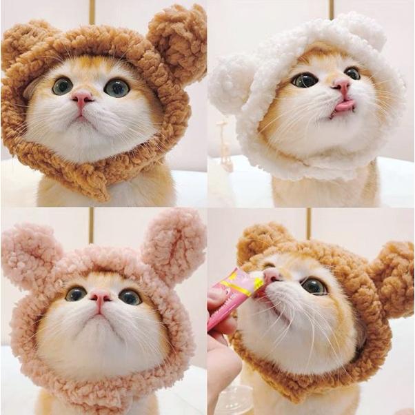 メール便送料無料】猫ちゃん☆くまさんコスプレ帽子 犬用 犬服