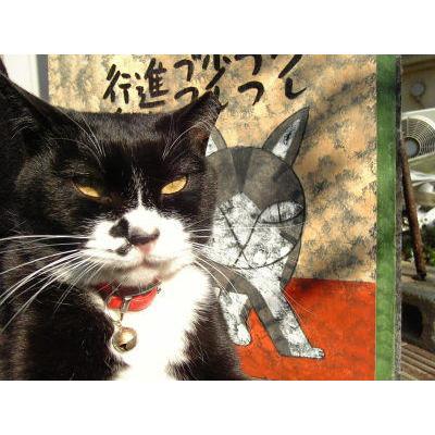 高原鉄男 猫画コレクション Tシャツ Someone スモークブラック Sサイズ