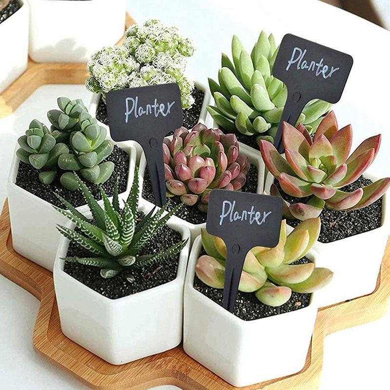 Generisch 園芸ラベル 植物ラベル 植物タグ 黒 再使用可能 園芸 園芸用ラベル T型ラベル 花壇 ガーデニング 鉢植