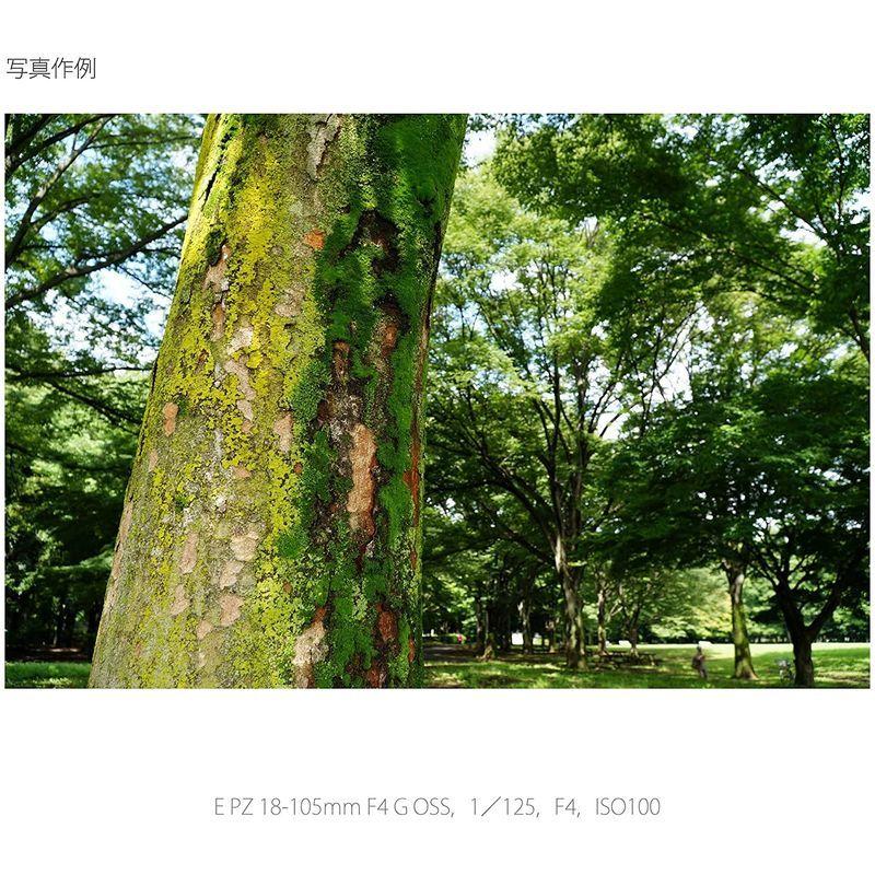 希少！！】 ソニー SELP18105G Eマウント 交換用レンズ E PZ 18-105mm