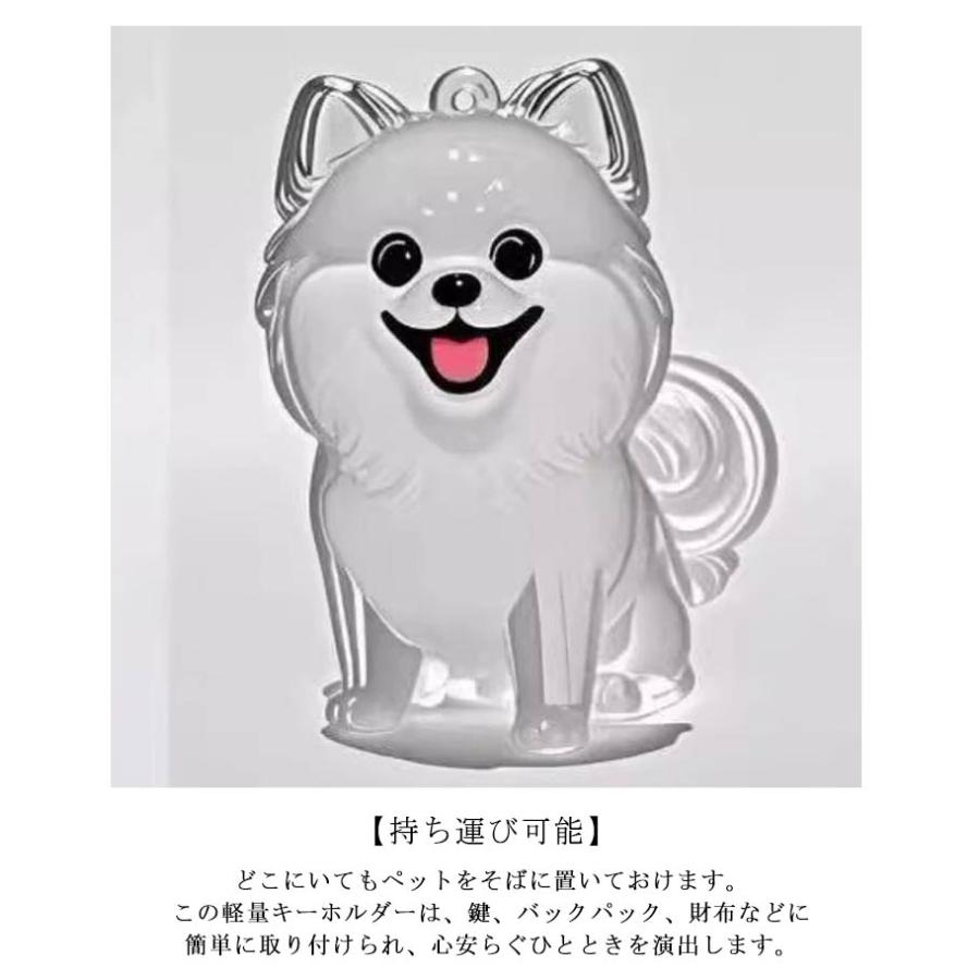 2個セット 透明ケース メモリアルペットグッズ 犬の毛収納キーホルダー