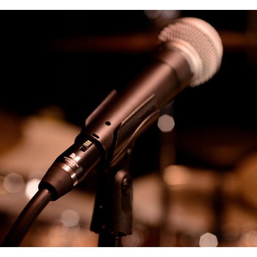 MONSTER CABLE] SP2000-M-10 (XLR / 3m) - [ モンスター・ケーブル