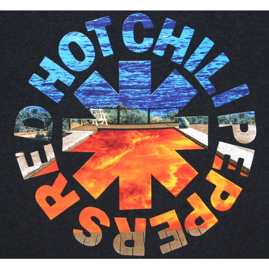Red Hot Chili Peppers / Californication Tee 4 (Charcoal Grey) - レッド・ホット・チリ・ペッパーズ Tシャツ｜rudie｜02