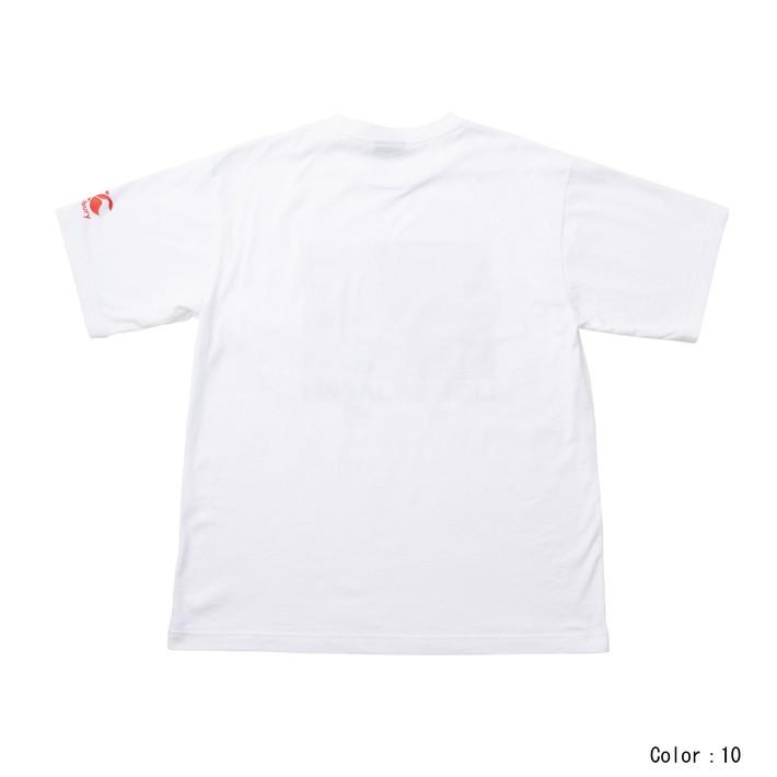 ブリティッシュアイリッシュライオンズＴシャツ ブリティッシュ＆アイリッシュ ライオンズ スーパーライト T