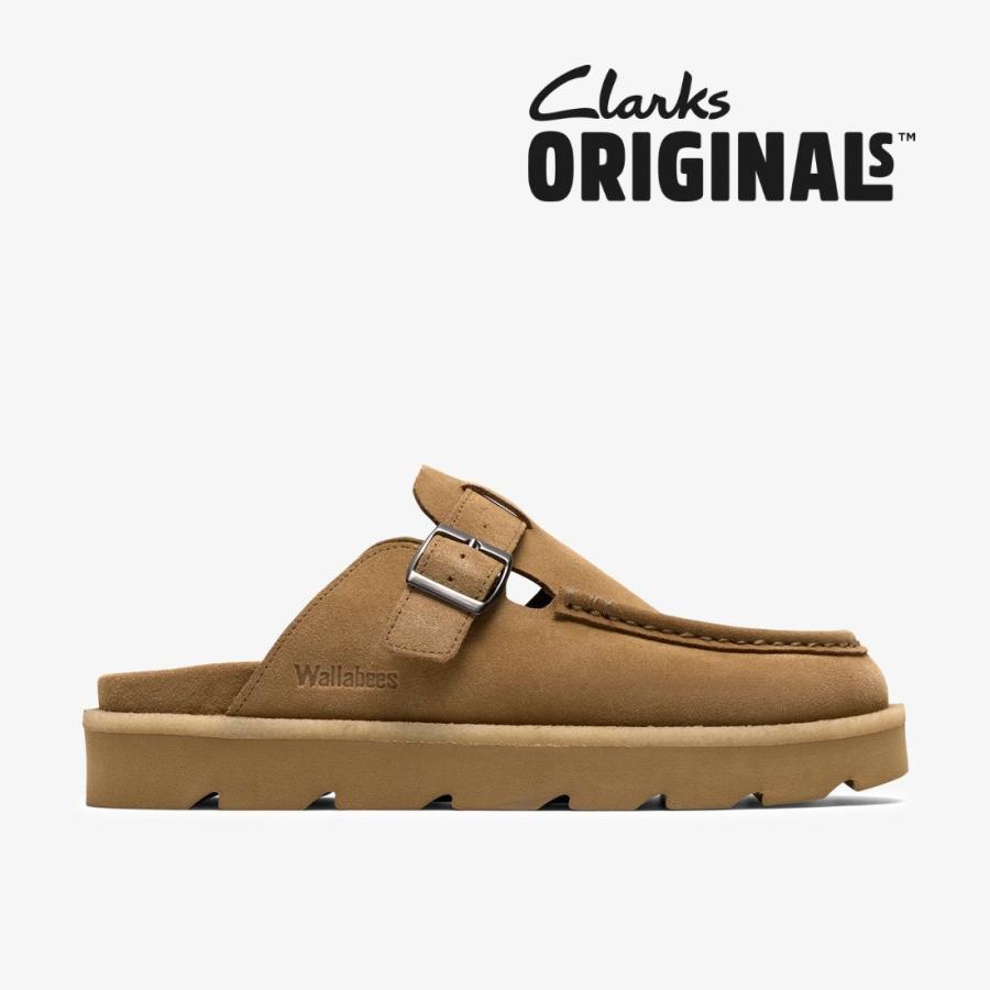 clarks-ma-dss