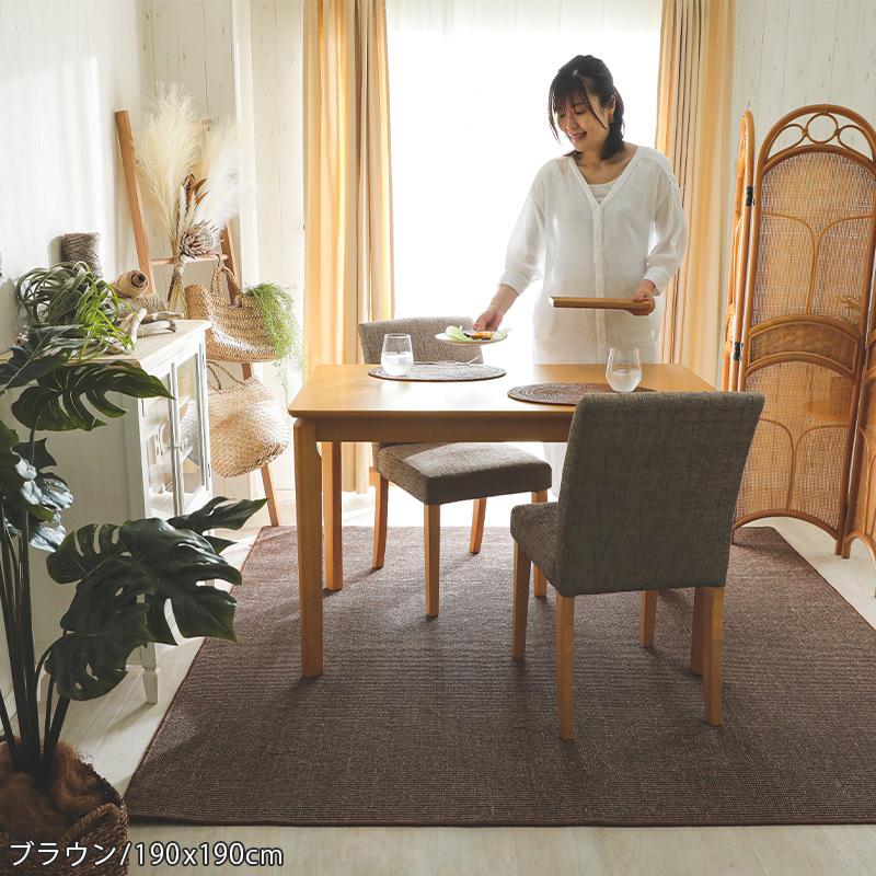 ラグ サイザル麻 ジュートラグ 1.5畳 130×190 おしゃれ アジアン 和モダン 夏用 夏 ジュート 麻 麻ラグ 麻 リネン 滑り止め付き / レオニ