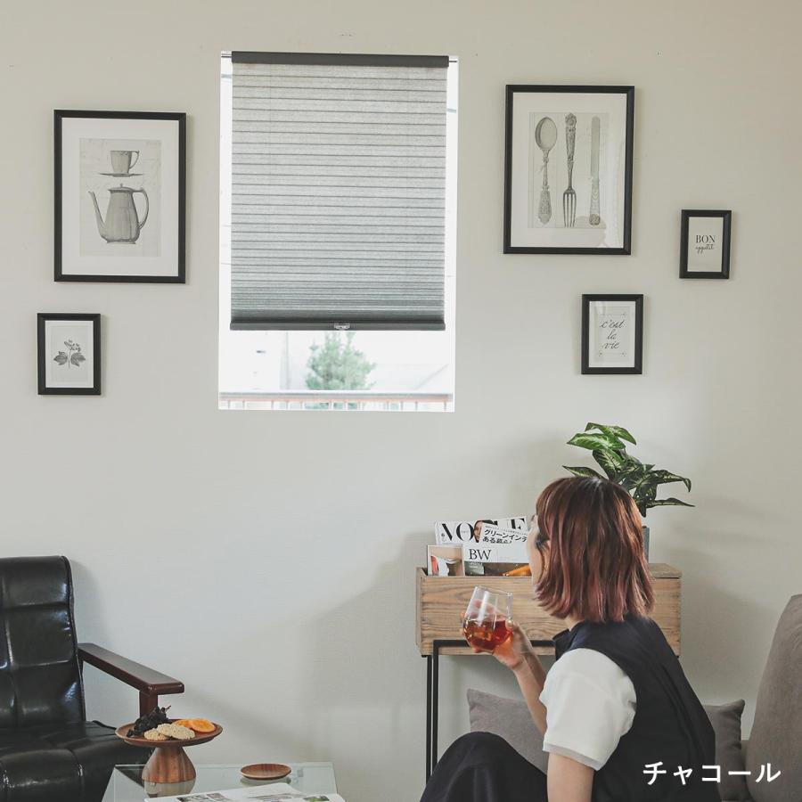 ハニカムシェード ハニカムスクリーン プリーツスクリーン オーダー