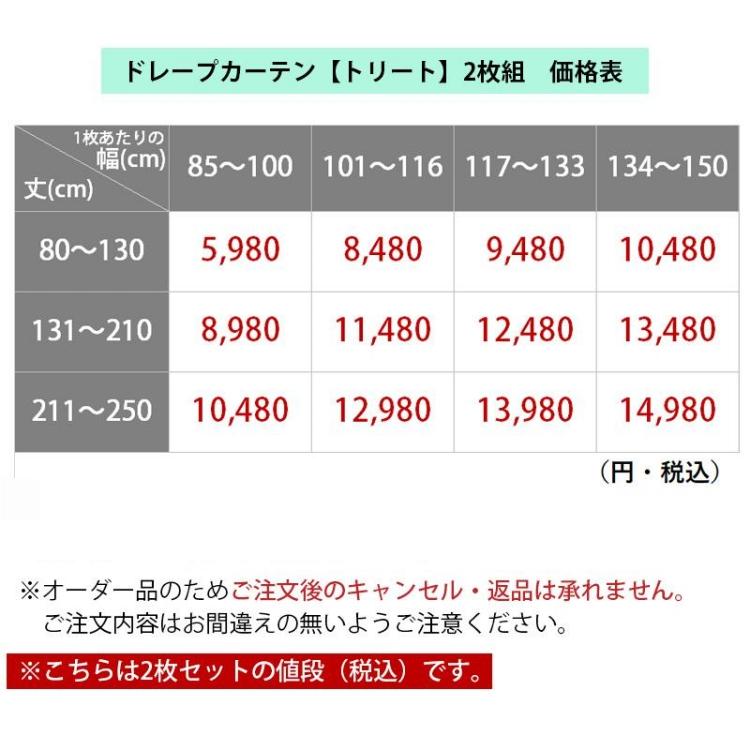 グラムスタイル カーテン 遮光 2枚組 オーダー 遮光カーテン 1級 グラムスタイル カーテン 遮光 2枚組 オーダー 遮光カーテン 1級