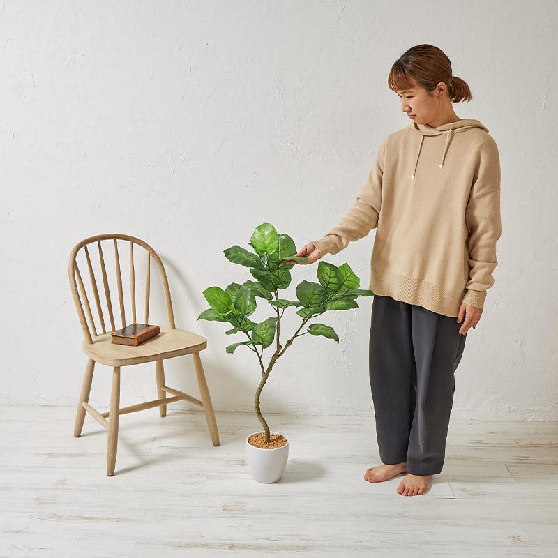 フェイクグリーン 大型 ウンベラータ 100cm 光触媒 観葉植物 フェイクグリーン 大型 ウンベラータ 100cm 光触媒 観葉植物
