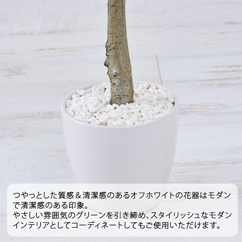 在庫処分 特価 フェイクグリーン 大型 オリーブ 120cm 人工 観葉植物