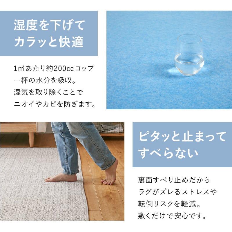 グラムスタイル 除湿シート 除湿マット 洗える ファミリー 3畳用 170